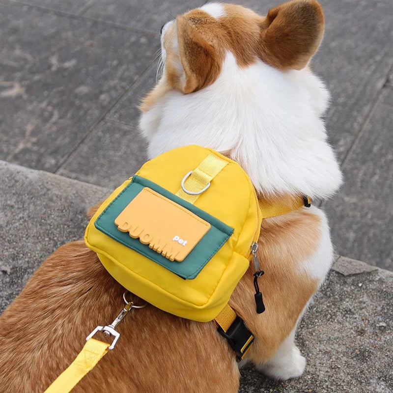 Adventure: Pet Backpack & Leash