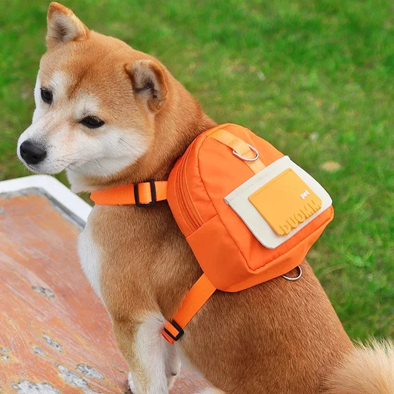 Adventure: Pet Backpack & Leash