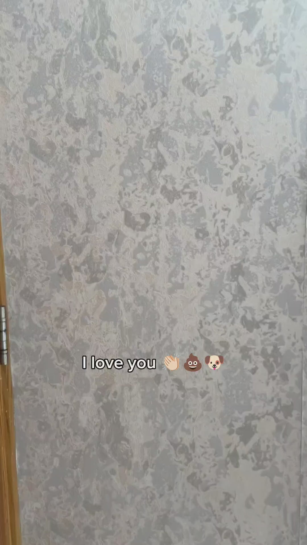 Clean-Up: Long Handle Pooper Scooper