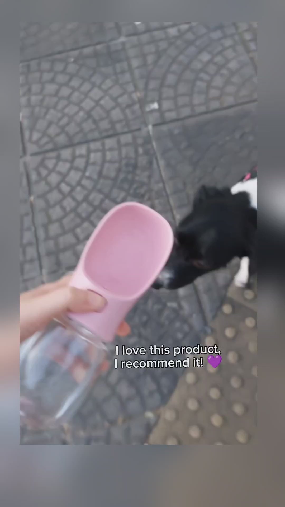 Hydro-Flask: Pet Edition