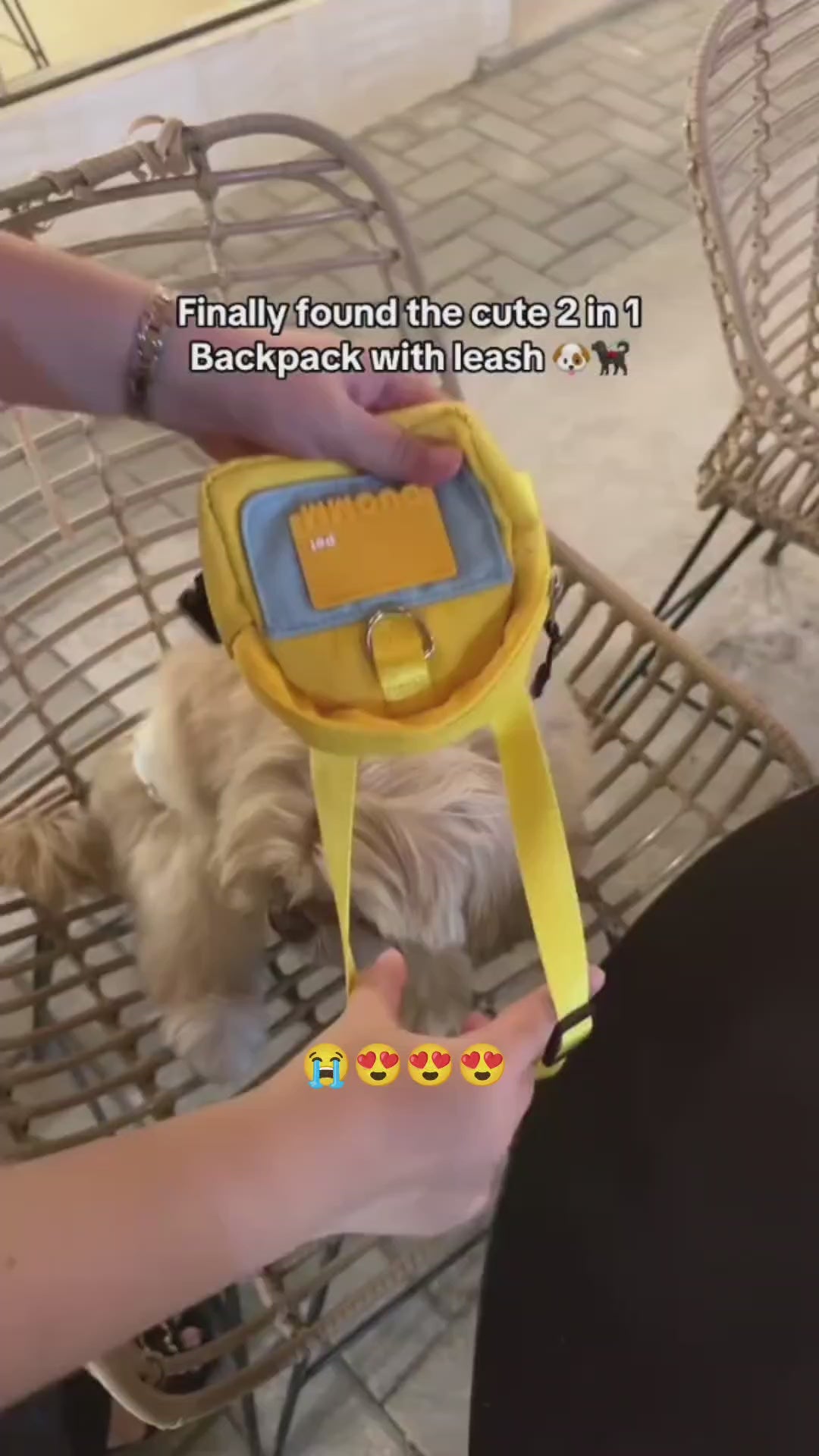 Adventure: Pet Backpack & Leash