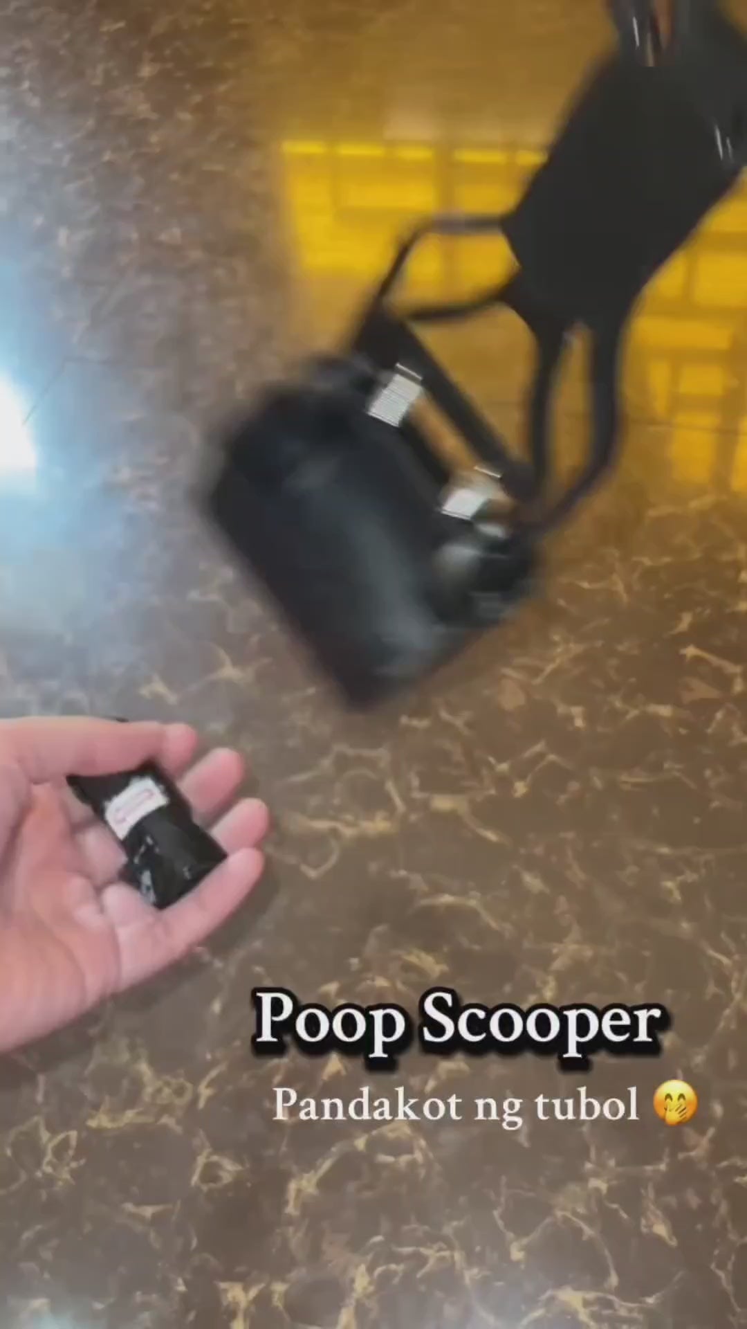 Clean-Up: Long Handle Pooper Scooper