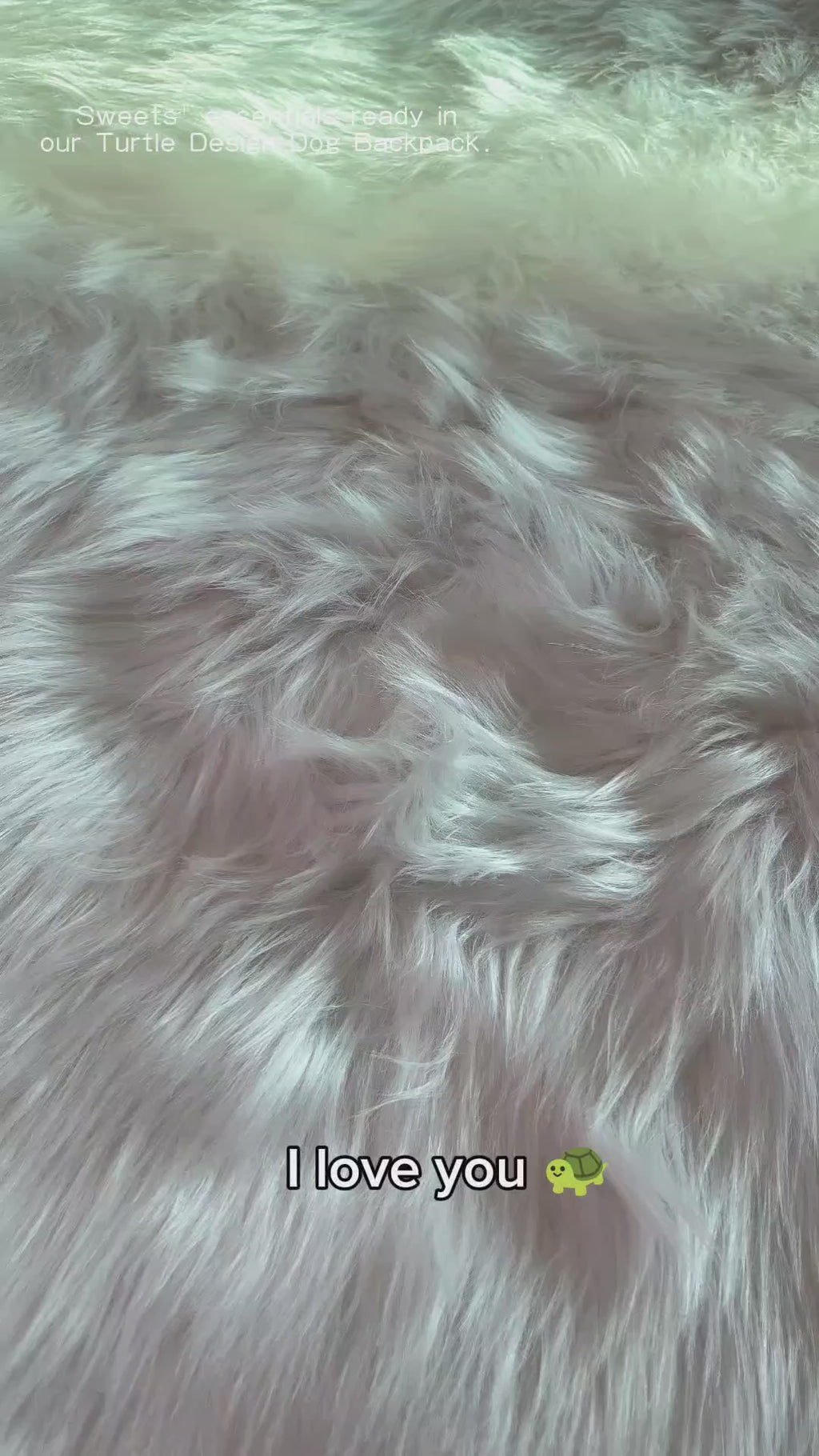 Turtle Shell: Pet Backpack