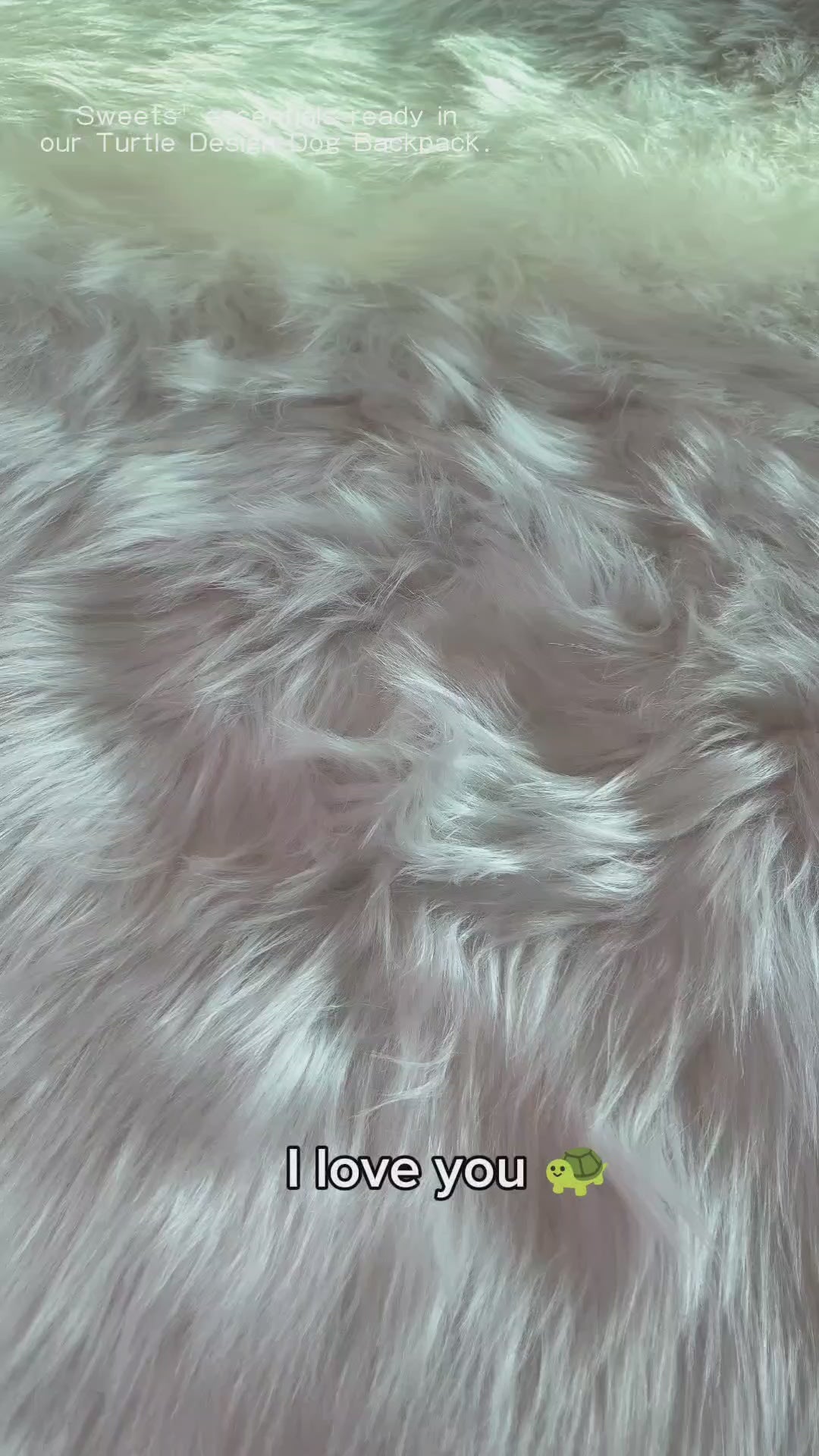 Turtle Shell: Pet Backpack