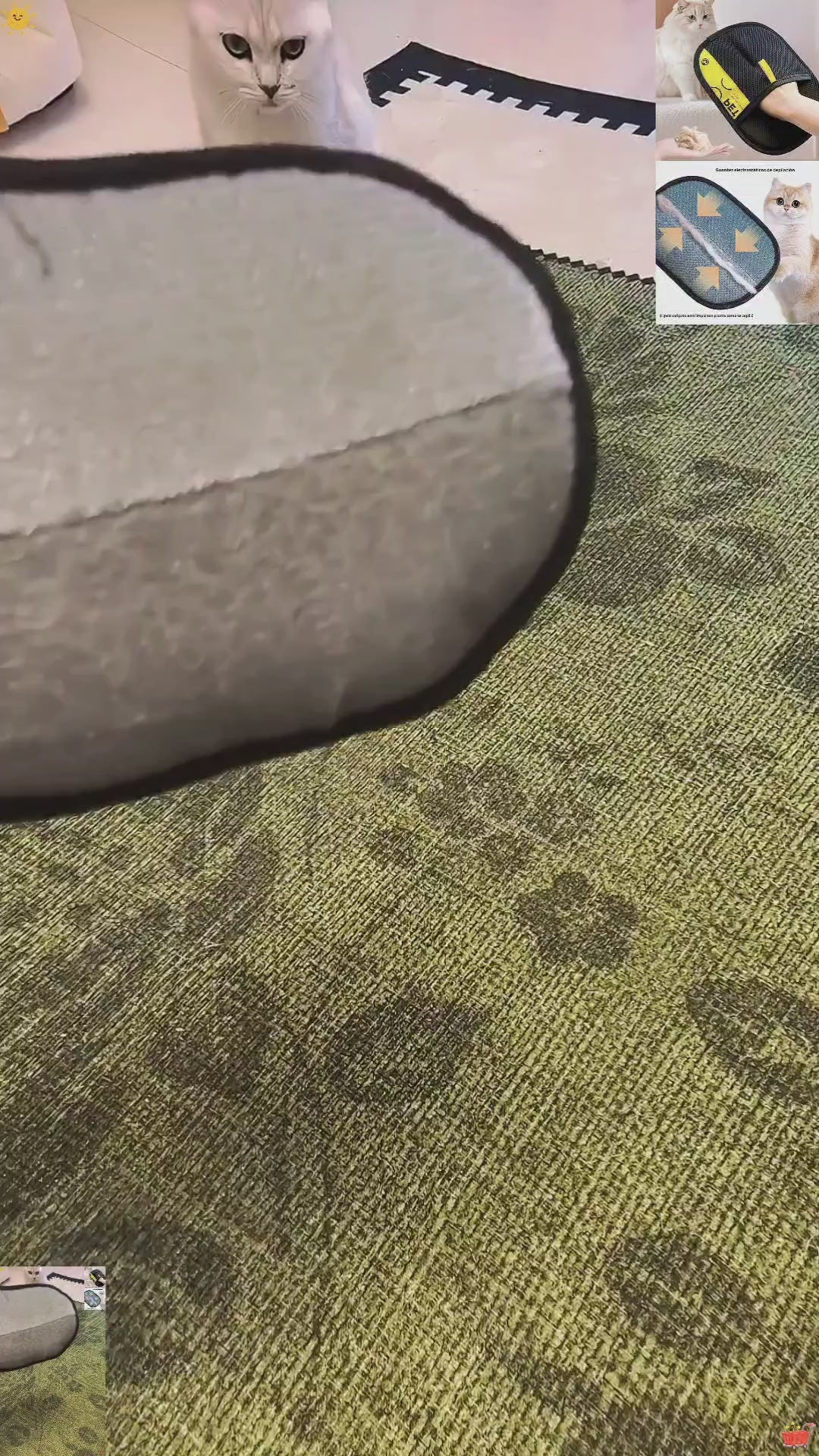 Clean-Home: Pet Grooming Glove