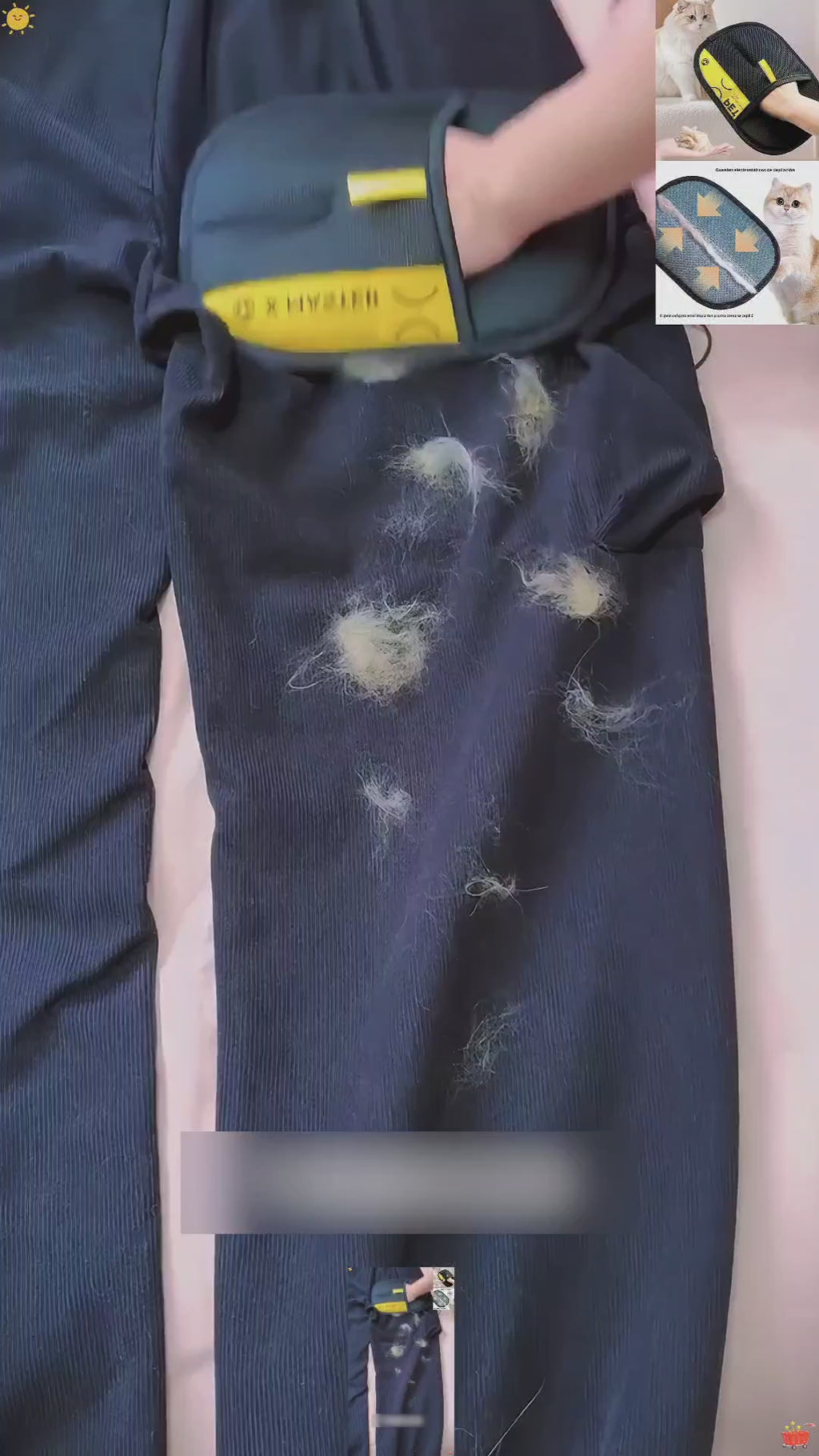 Clean-Home: Pet Grooming Glove