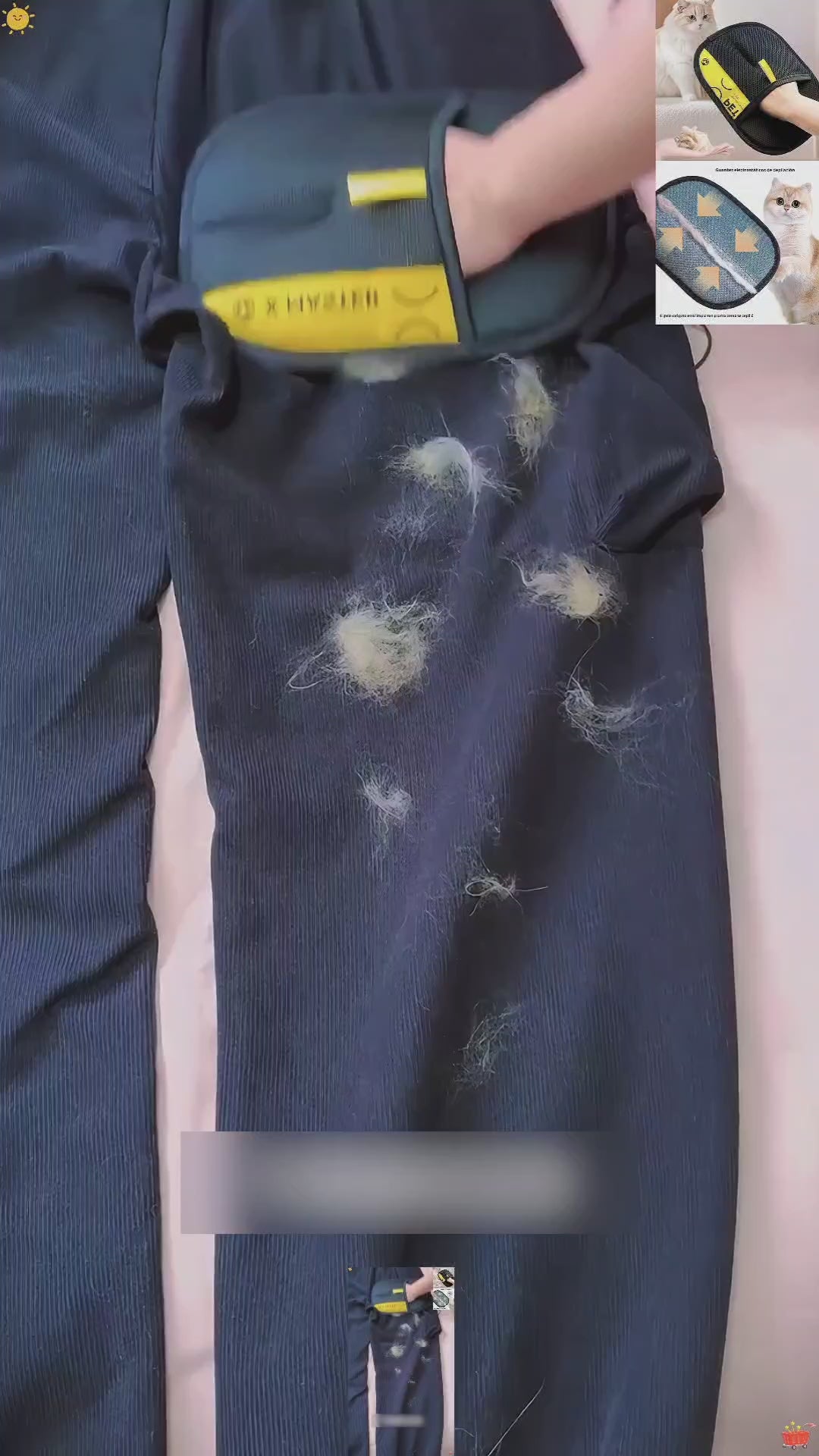 Clean-Home: Pet Grooming Glove