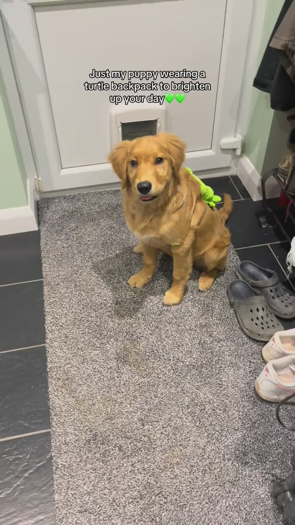 Turtle Shell: Pet Backpack